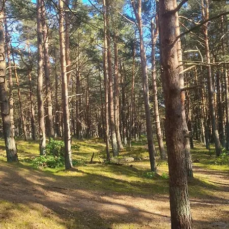 Apartman Dock2apartment Ruegen Whg 4 Grosser Balkon, Ruhige Lage *